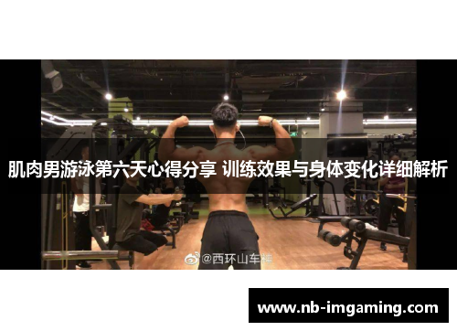 肌肉男游泳第六天心得分享 训练效果与身体变化详细解析