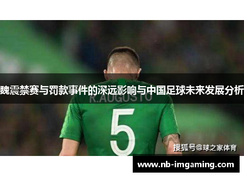 魏震禁赛与罚款事件的深远影响与中国足球未来发展分析