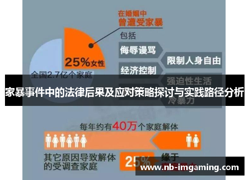 家暴事件中的法律后果及应对策略探讨与实践路径分析