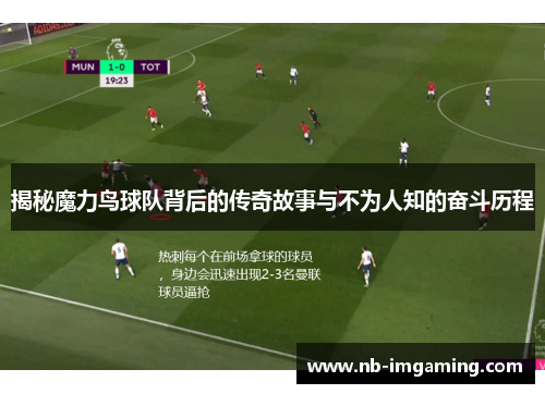 揭秘魔力鸟球队背后的传奇故事与不为人知的奋斗历程