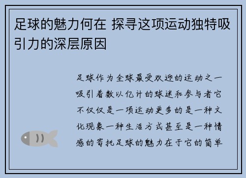 足球的魅力何在 探寻这项运动独特吸引力的深层原因