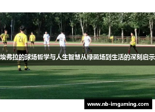 埃弗拉的球场哲学与人生智慧从绿茵场到生活的深刻启示